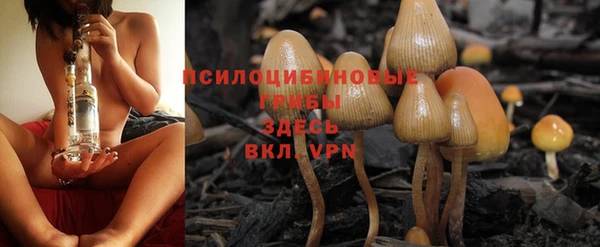 Альфа ПВП Богородицк