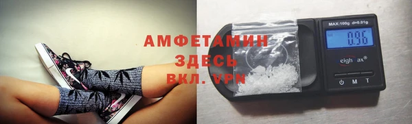 прущие крисы Ельня