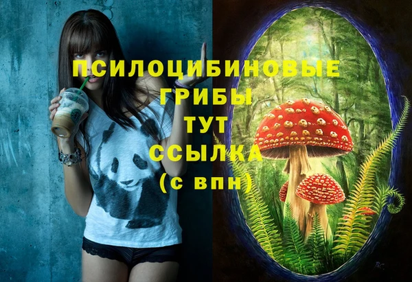 прущая мука Пестово