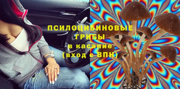 прущая мука Пестово