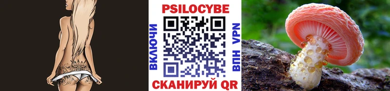 Псилоцибиновые грибы Psilocybe  где найти наркотики  Ковдор 