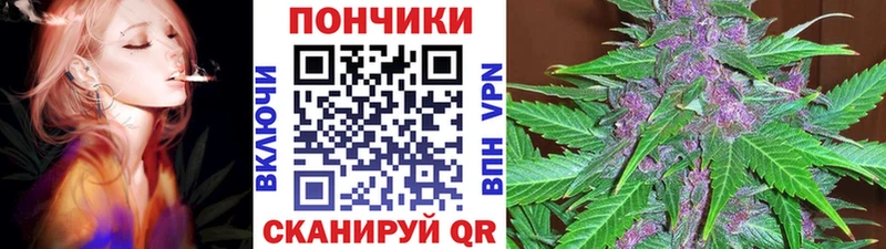 Канабис семена Ковдор